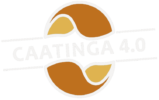 Caatinga-4.0_branco