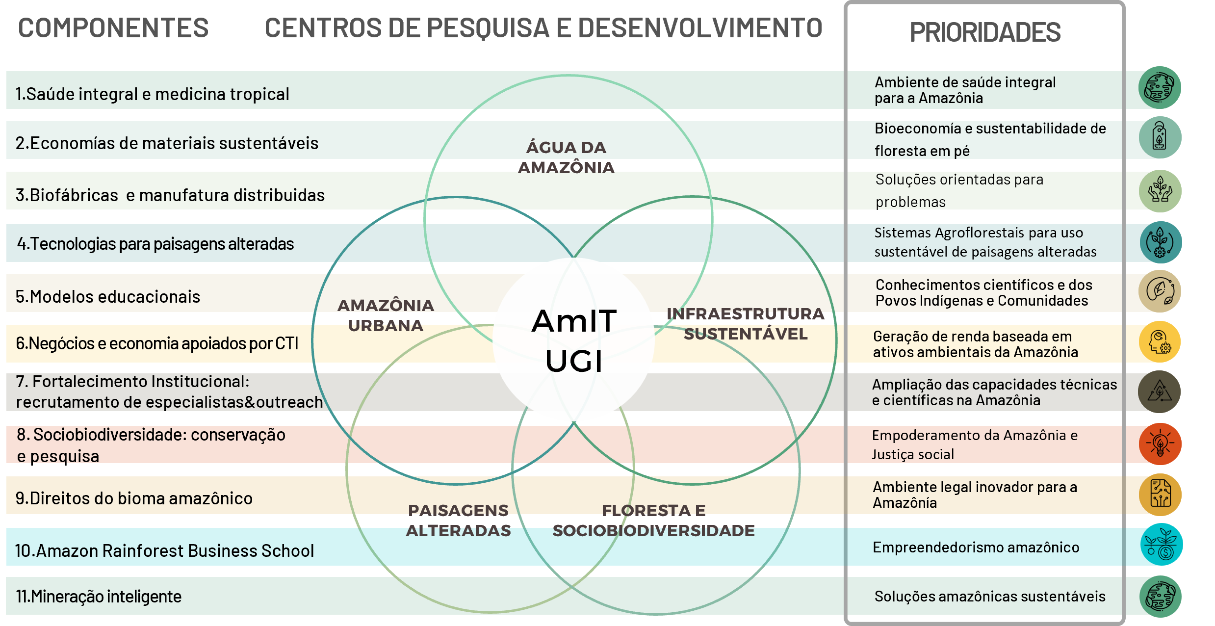 Componentes-AMIT